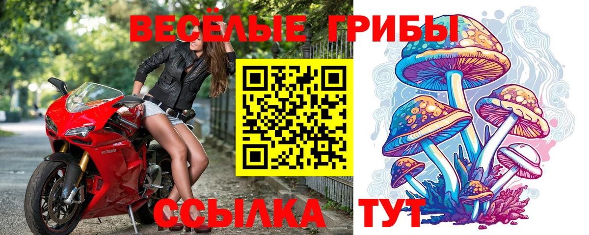 Чайковский  COCAIN  Гашиш  Меф кристаллы  Вход с VPN  Гашиш 