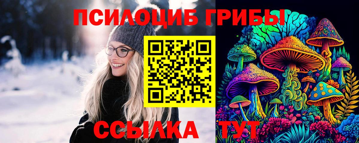 Чайковский  Галлюциногенные грибы GOLDEN TEACHER  Вход с VPN 