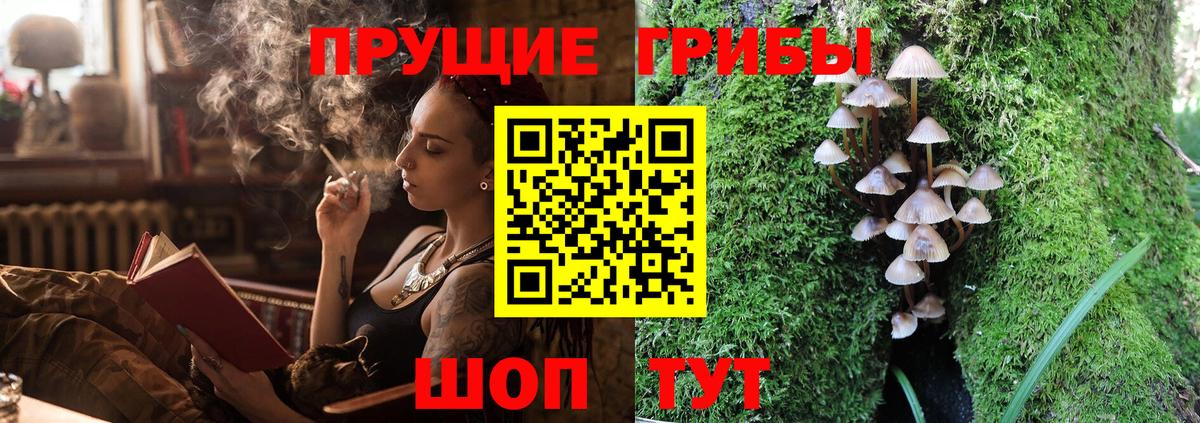 Галлюциногенные грибы прущие грибы Чайковский